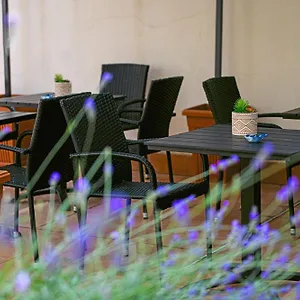 https://alghero-sunrise.hotelsalgherosardinia.com